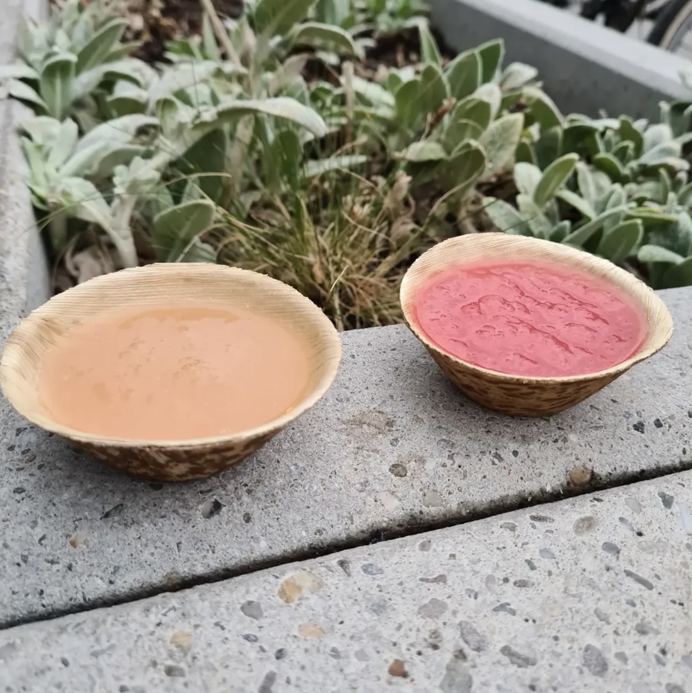 Bunte Smoothie Shots